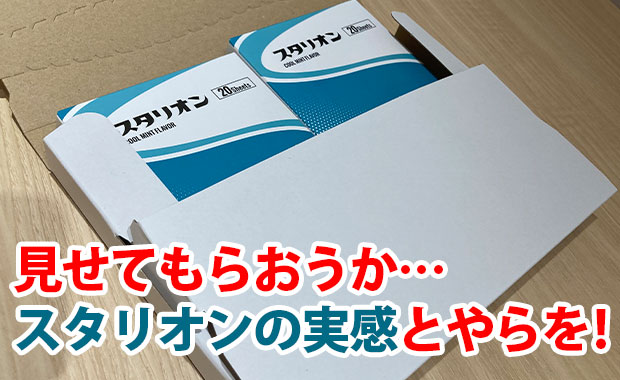 スタリオンが届く。 「見せてもらおうか。スタリオンの実感とやらを。」